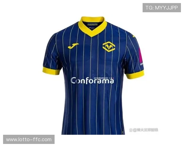 维罗纳主帅扎内蒂下课，青年队教练临时接手