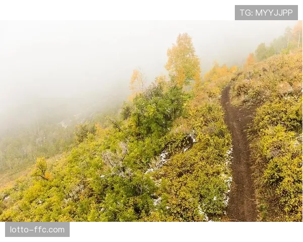 苏格兰启动“林道守护者”青少年培训项目，教授基础赛道修建与生态保护知识
